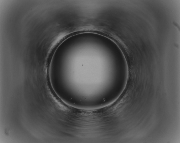 X0000092281416200709141212