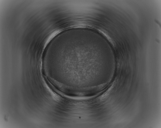 X0000092281418200709141212