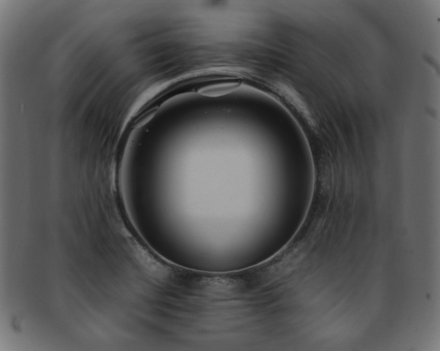 X0000092281420200709141212