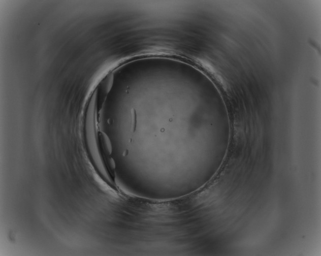 X0000092281421200709141212