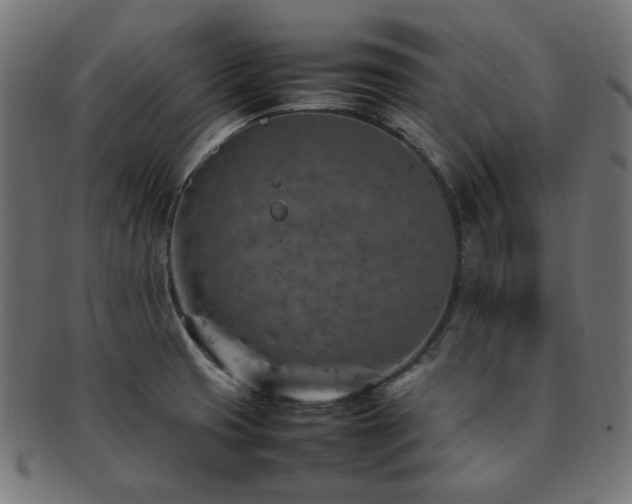 X0000092281425200709141212