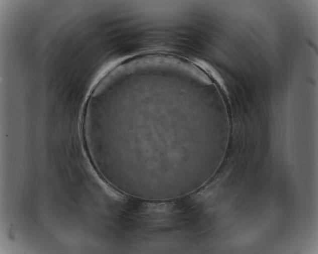 X0000092281429200709141212