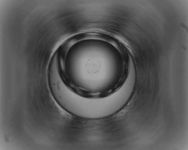X0000092281430200709141212