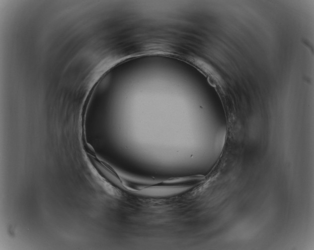 X0000092281431200709141212