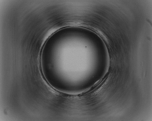 X0000092281432200709141212