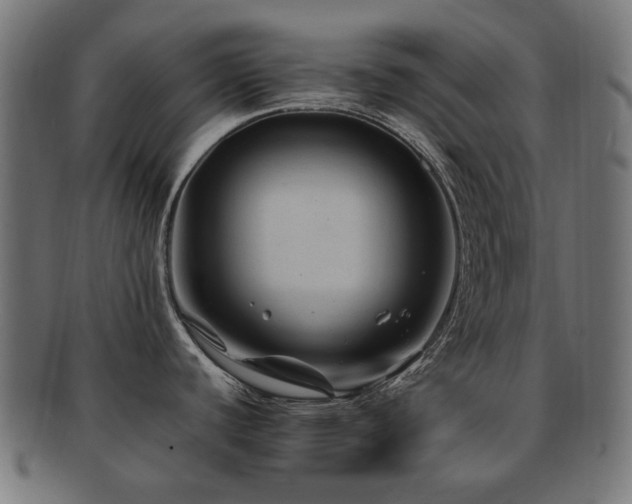 X0000092281440200709141212