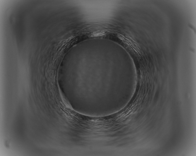 X0000092281441200709141212