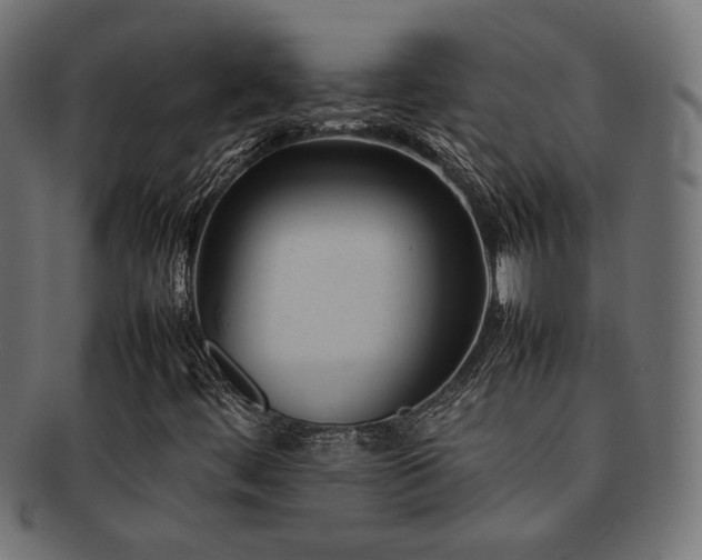 X0000092281444200709141212