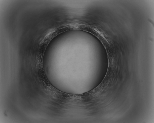 X0000092281446200709141212