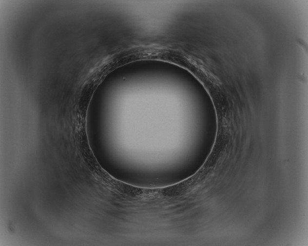 X0000092281447200709141212