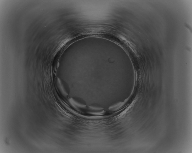 X0000092281449200709141212