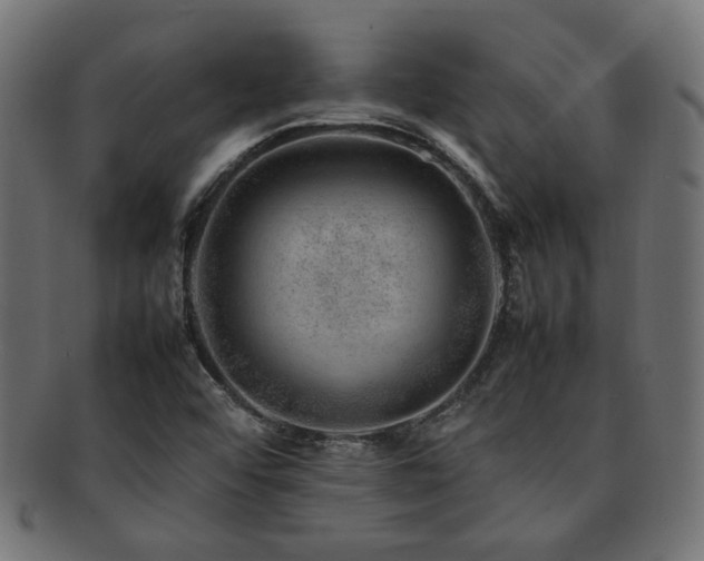 X0000092281456200709141212