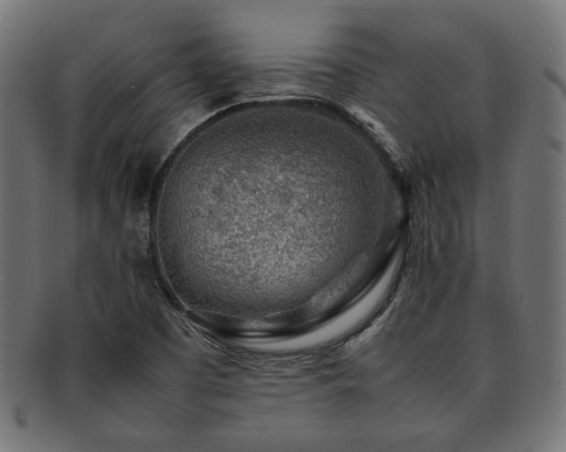 X0000092281457200709141212