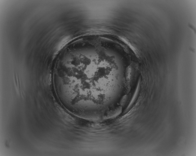 X0000092281459200709141212