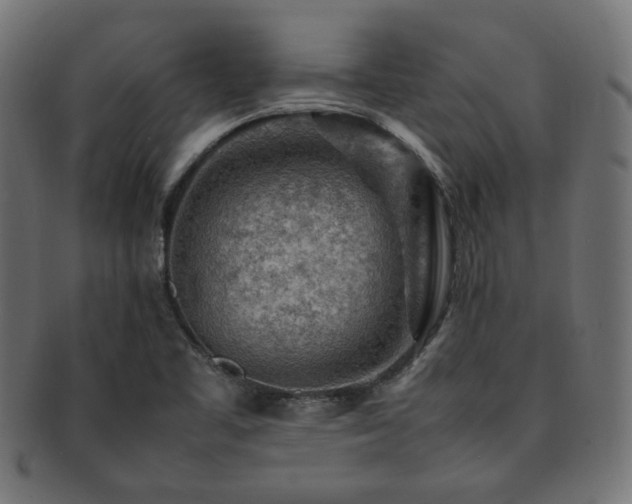 X0000092281461200709141211
