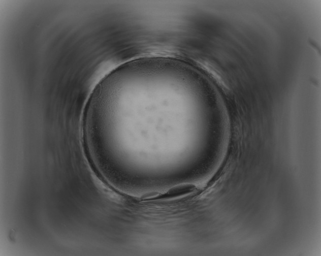 X0000092281471200709141211