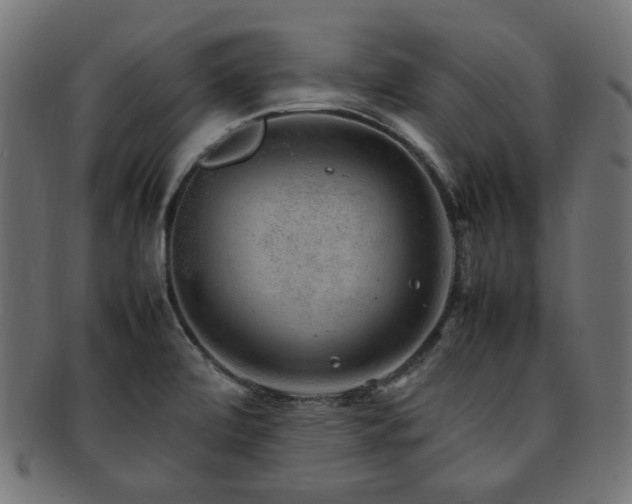 X0000092281472200709141211
