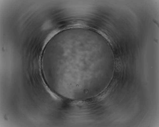 X0000092281474200709141211