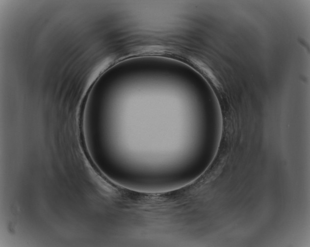 X0000092281475200709141211