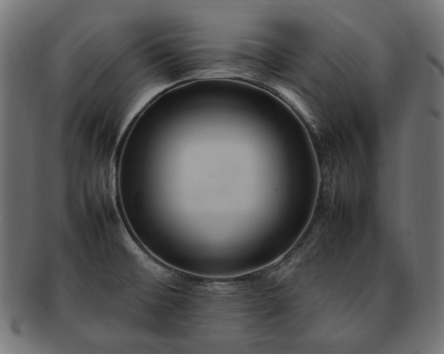 X0000092281476200709141211