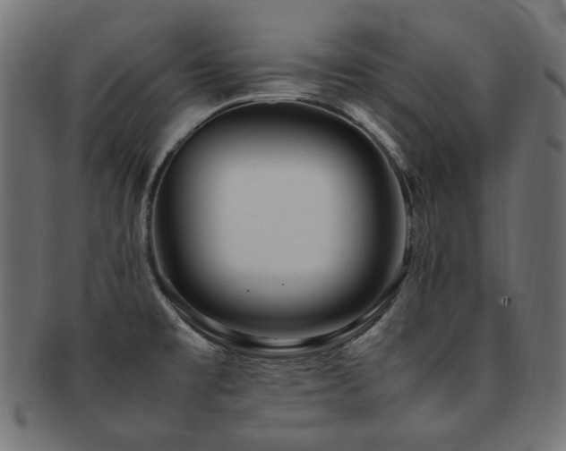 X0000092281477200709141211