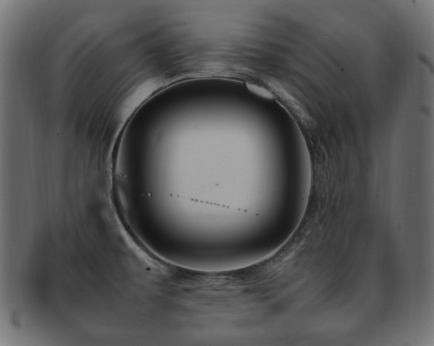 X0000092281479200709141211