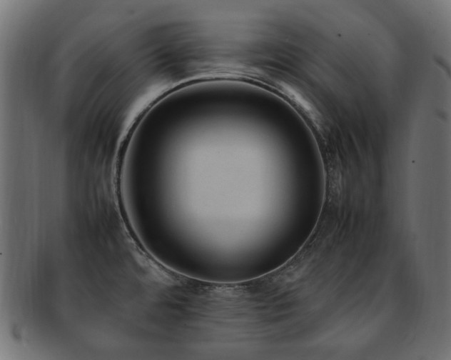 X0000092281480200709141211