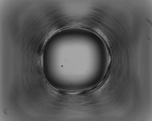 X0000092281481200709141211