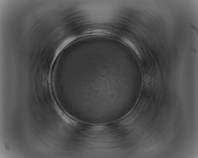 X0000092281482200709141211