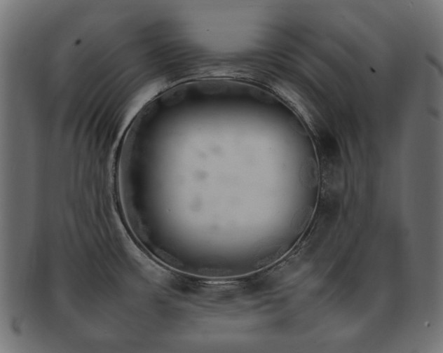 X0000092281483200709141211