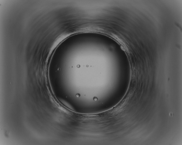 X0000092281486200709141211