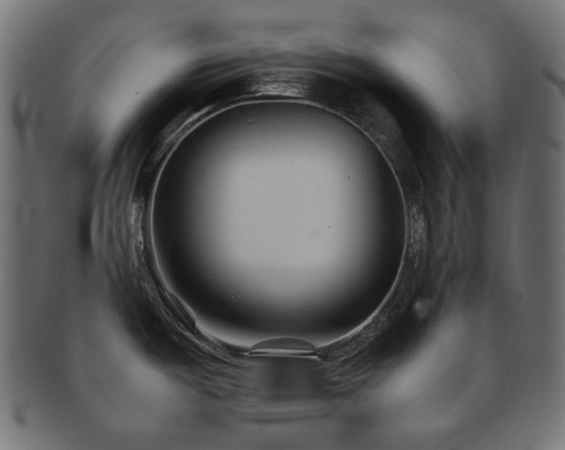 X0000092281487200709141211