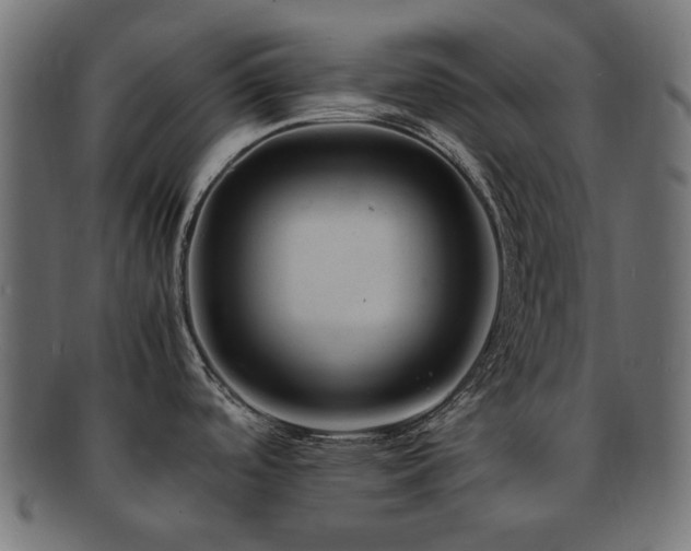 X0000092281488200709141211