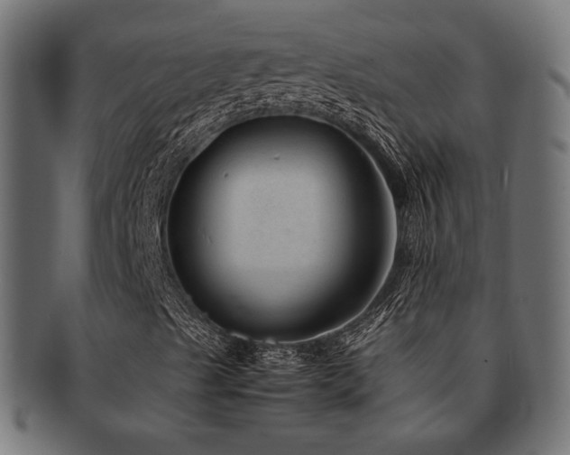 X0000092281489200709141211