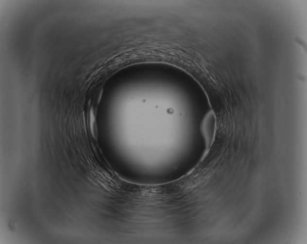 X0000092281490200709141211