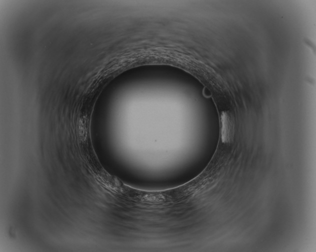 X0000092281491200709141211