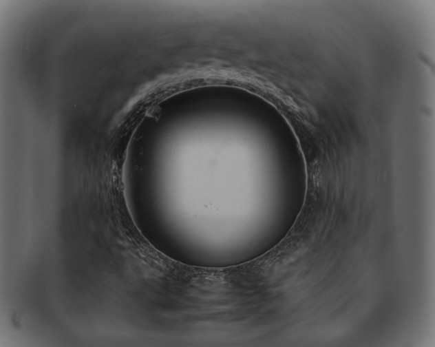 X0000092281495200709141211