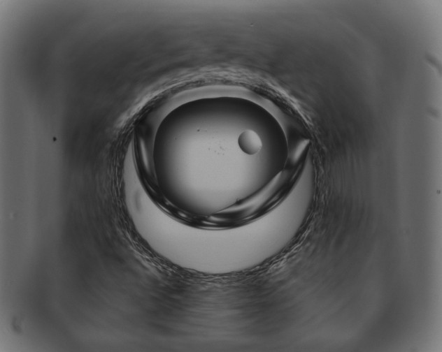 X0000092281496200709141211