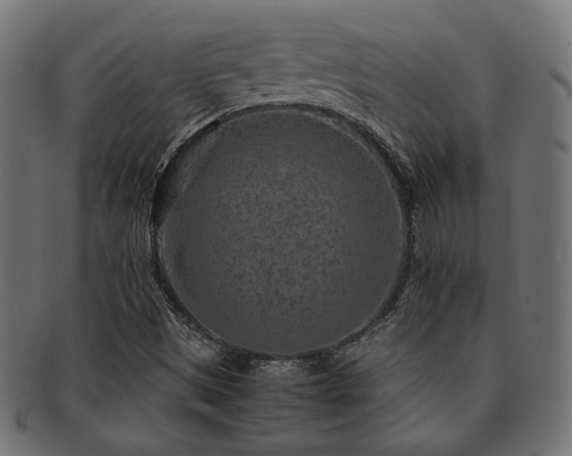 X0000092281497200709141211