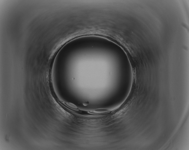 X0000092281500200709141211