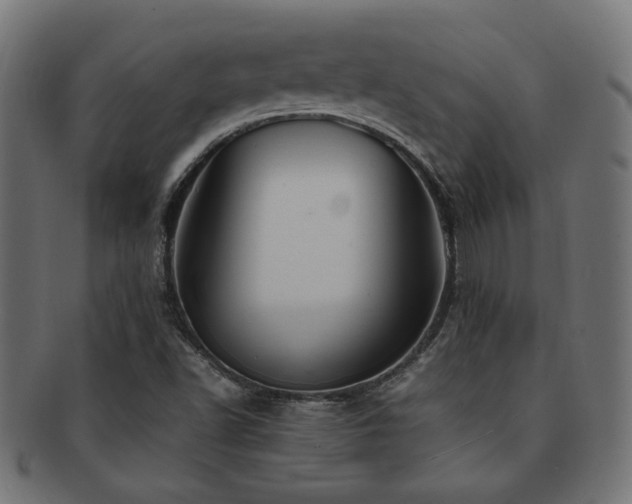 X0000092281502200709141211