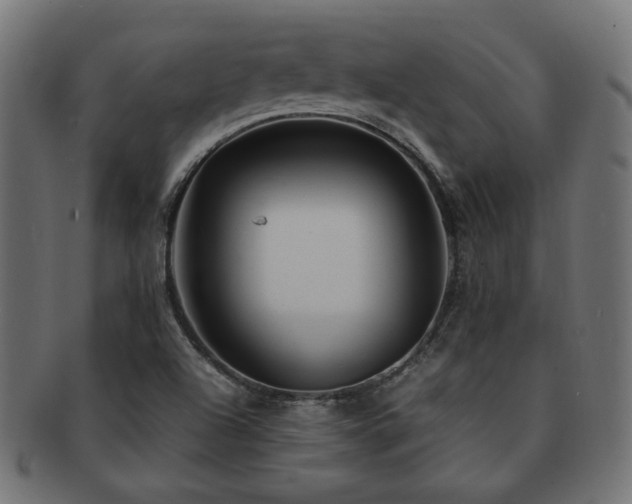X0000092281504200709141211