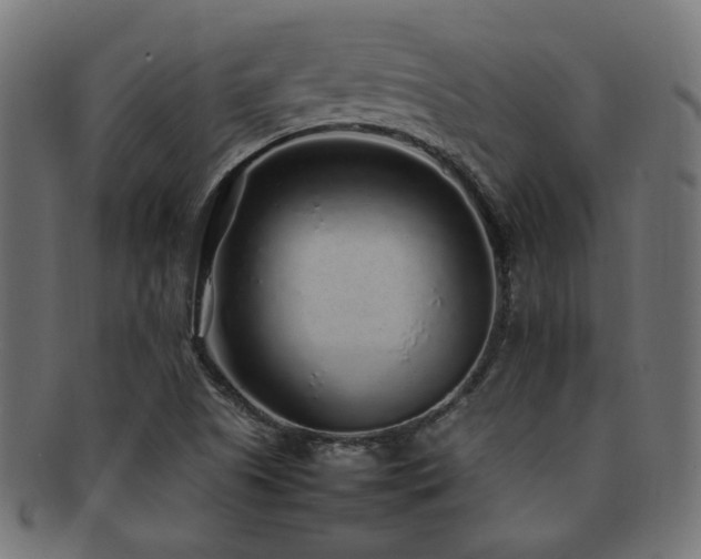 X0000092281505200709141211
