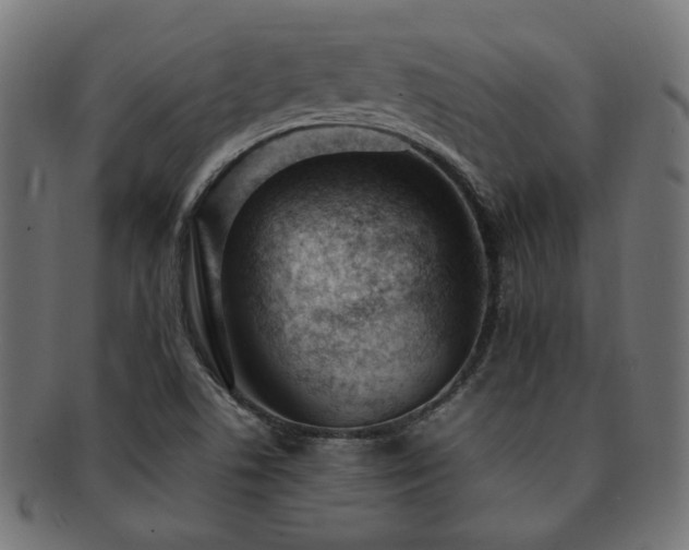 X0000092281506200709141211