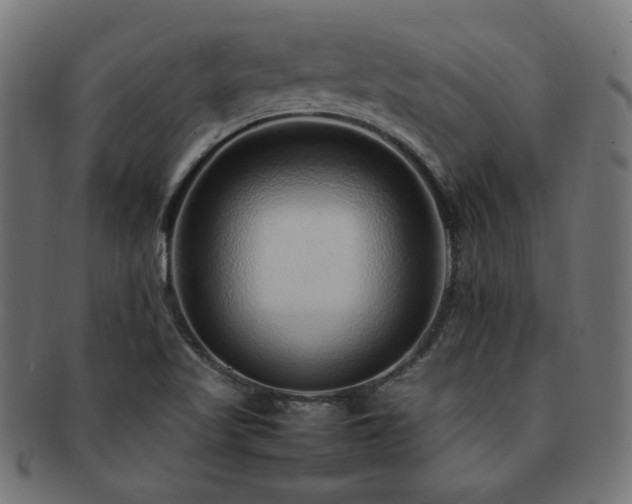 X0000092281509200709141211