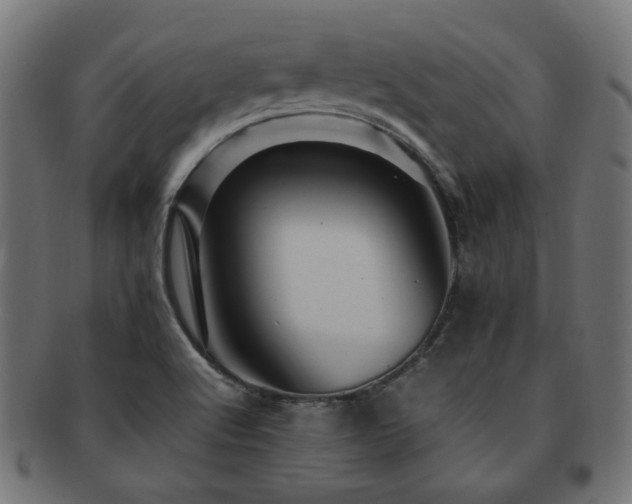 X0000092281512200709141211