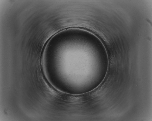 X0000092281513200709141211