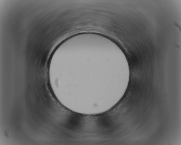 X0000092281514200709141211
