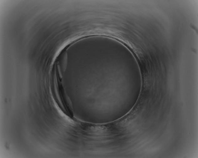 X0000092281515200709141211