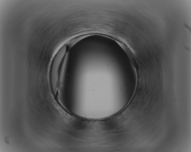 X0000092281516200709141211